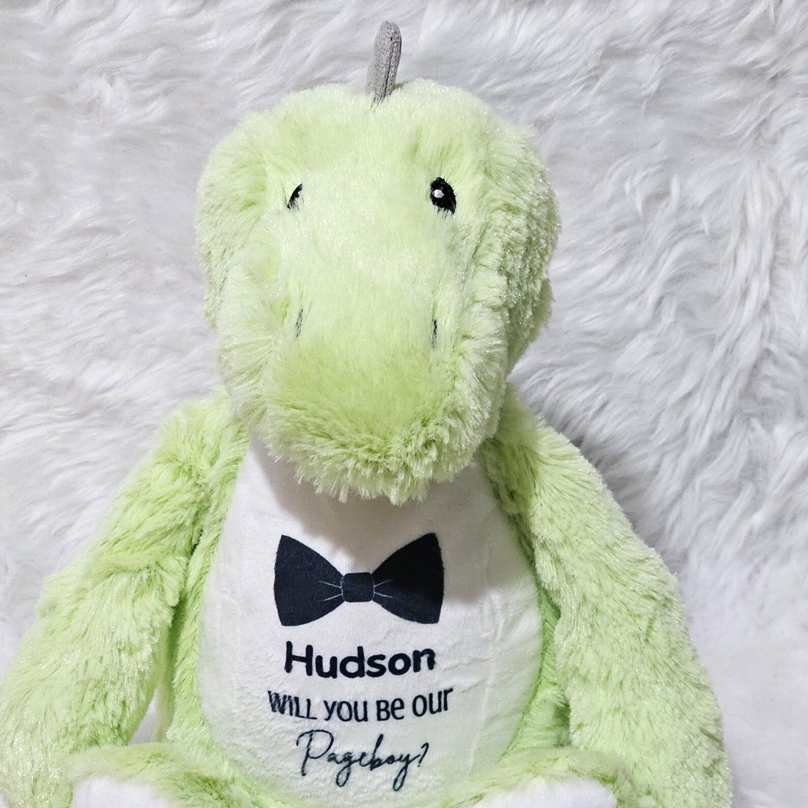 Personalised “Will You Be Our Pageboy?” Dinosaur – Soft Plush