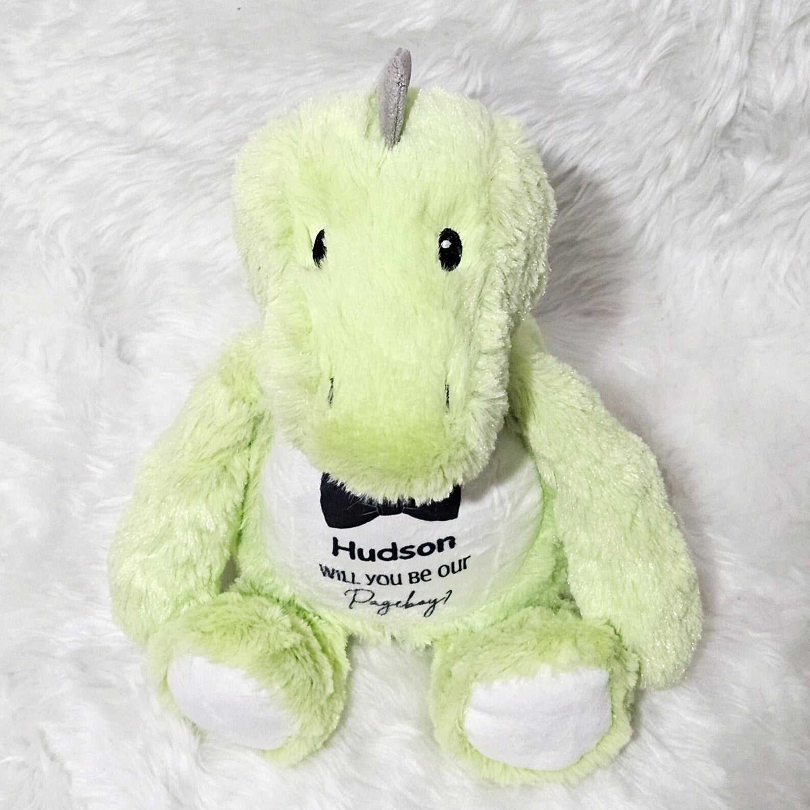 Personalised “Will You Be Our Pageboy?” Dinosaur – Soft Plush