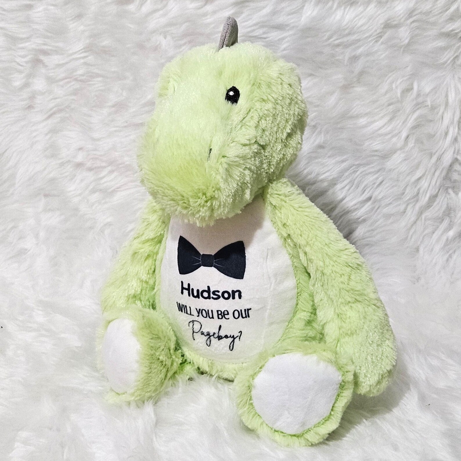 Personalised “Will You Be Our Pageboy?” Dinosaur – Soft Plush