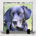 Personalised Pet Photo Slate