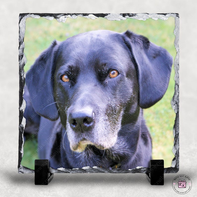 Personalised Pet Photo Slate